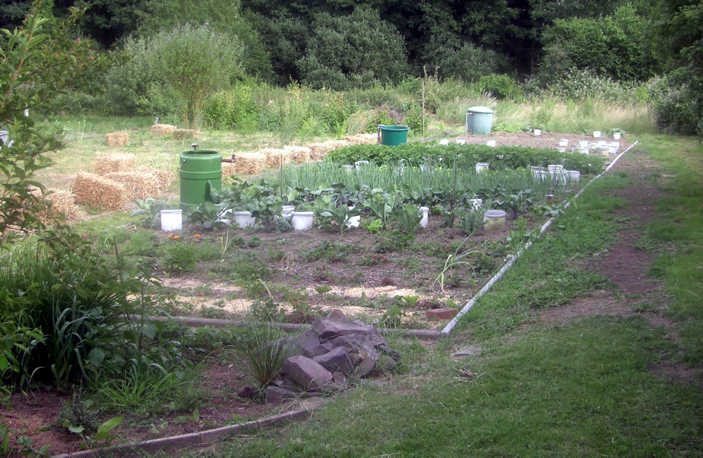 Biologischer Pflanzenschutz 02