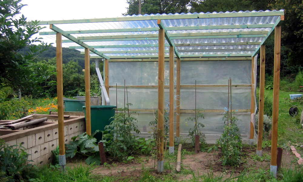 Gemüse im Ökogarten – Tomaten 01